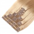 Clip In Hair Extensions Remy Hair Dirty Blonde #18 (100g)