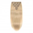 Clip In Hair Extensions Remy Hair Color #22 (100g)