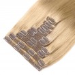 Clip In Hair Extensions Remy Hair Color #22 (100g)